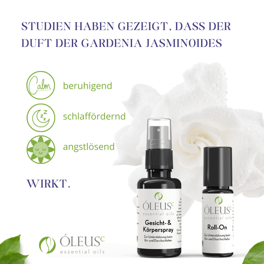 Kennenlernset – Bild 5