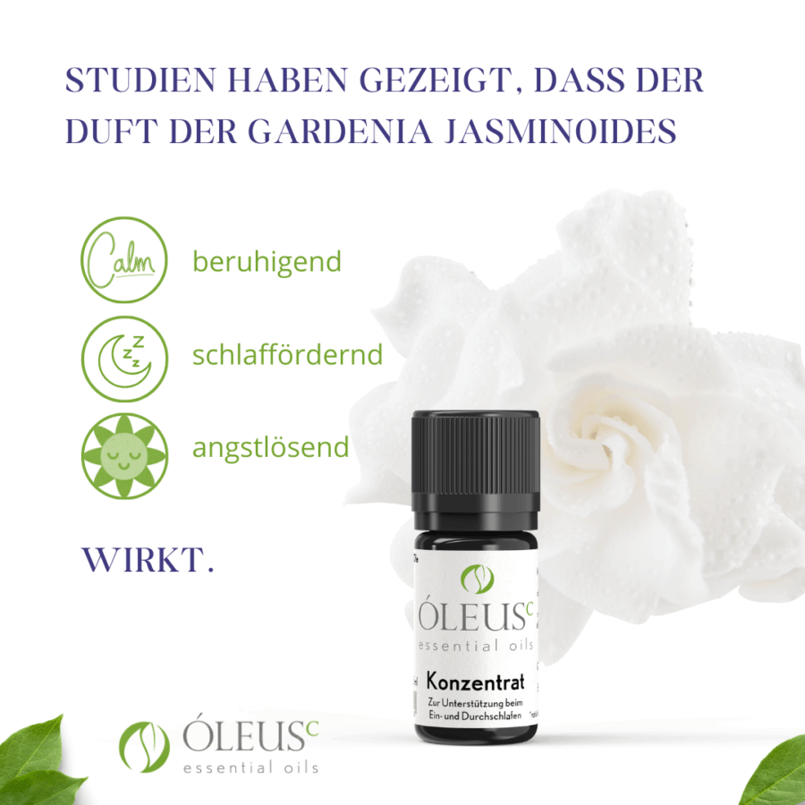 Konzentrat – Bild 5