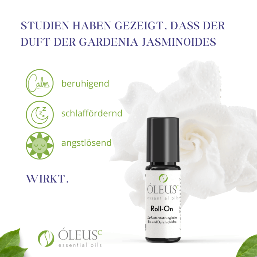 Roll-On – Bild 5