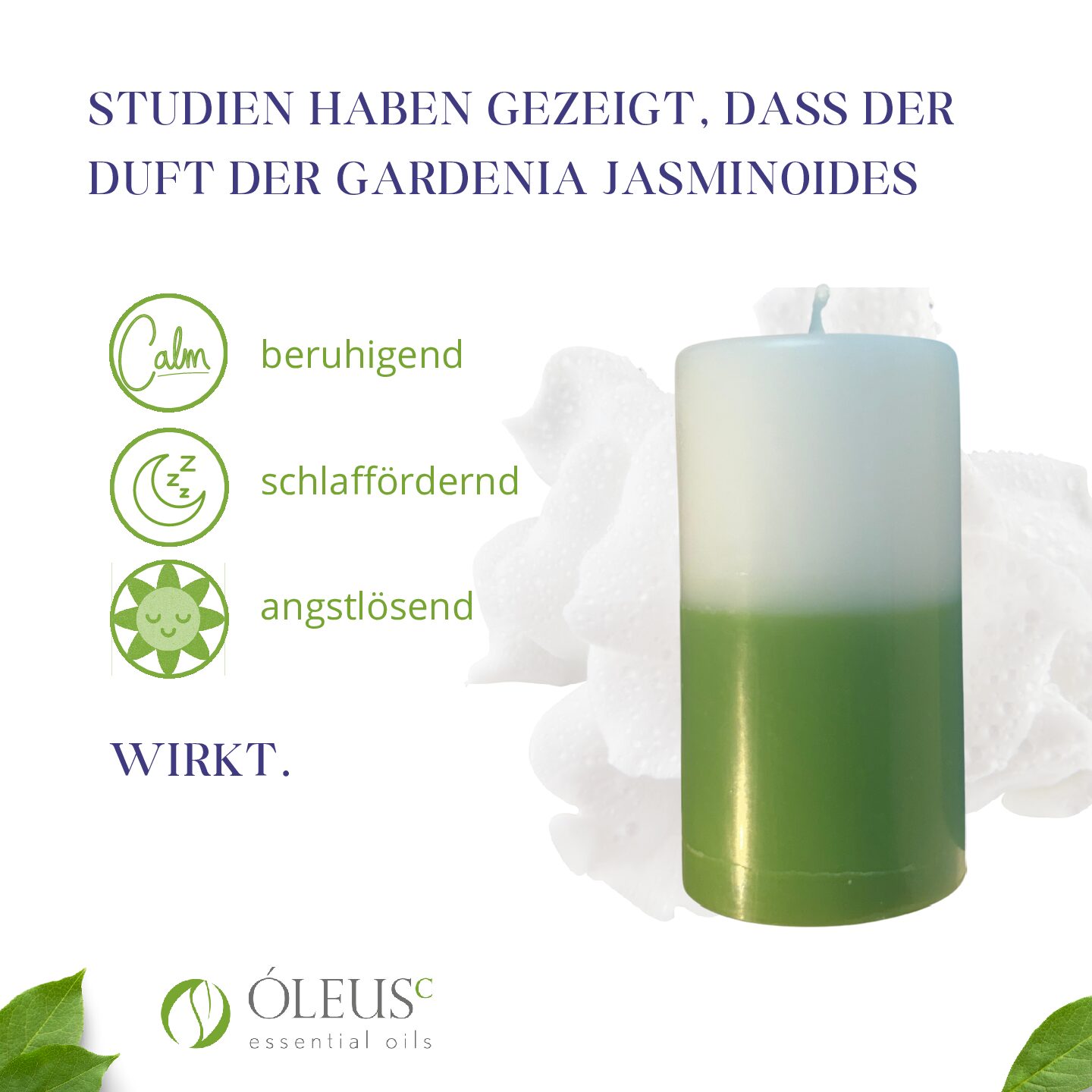 Duftkerze Gardenia – Bild 4