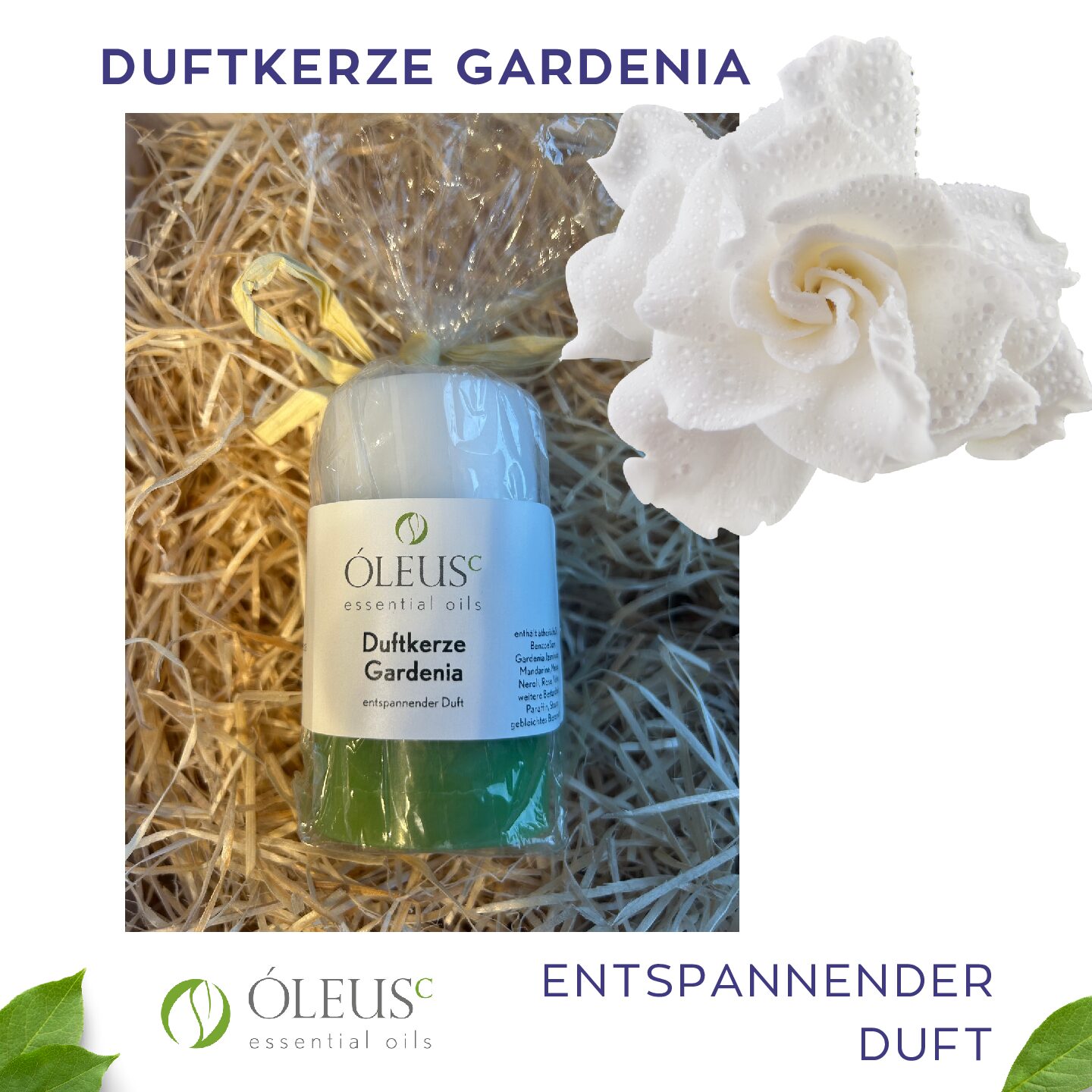Duftkerze Gardenia – Bild 5